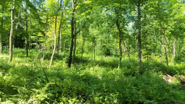 Balsam Lake, WI 54810,12 ACRES 90TH ST