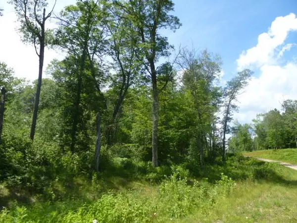 Hackensack, MN 56452,Lot4,Block1 Red Oak DR