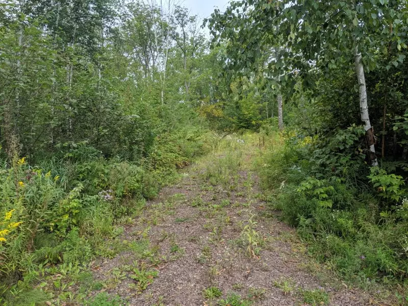 XXX Short Cut Road, Askov, MN 55704