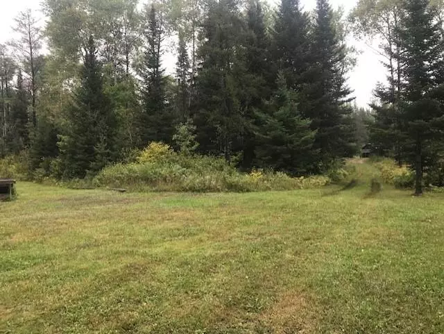 TBD Skibo, Bassett Twp, MN 55750