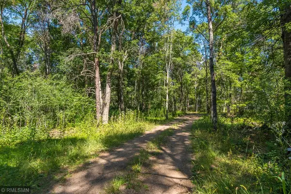 Pequot Lakes, MN 56472,TRACT D Trails End RD