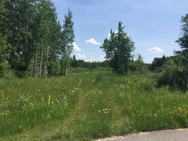 Bigfork, MN 56628,TBD SCENIC ESTATES DR