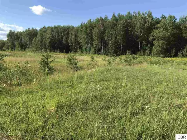 Deer River, MN 56636,43643 RABBIT RD