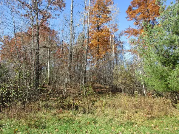 Rusk Twp, WI 54895,000 Sunrise Trail