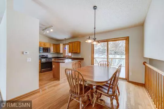 Waconia, MN 55387,60 Alva CT