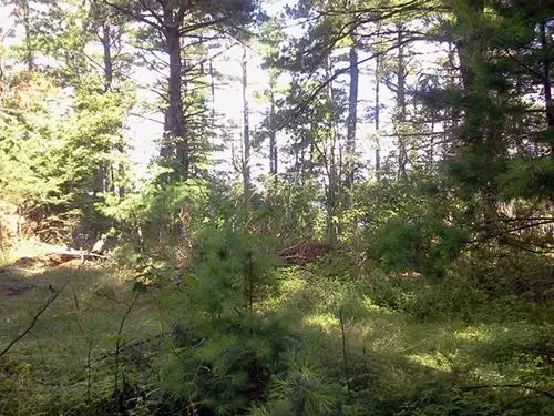 Breitung Twp, MN 55790,Lot 8 Long Island