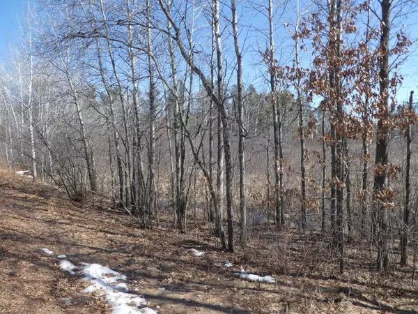 Baxter, MN 56425,Lot 2 Persimmon Drive