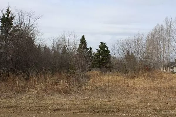 Remer, MN 56672,Lot 2 & 3 Mill ST SE