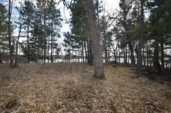 Webster, WI 54893,Lot 1 Schoonover RD