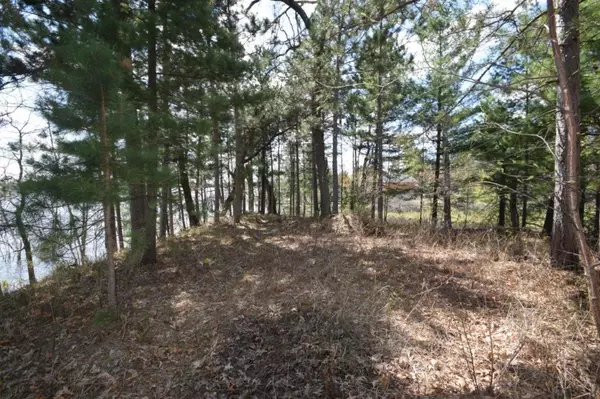 Webster, WI 54893,Lot 1 Schoonover RD