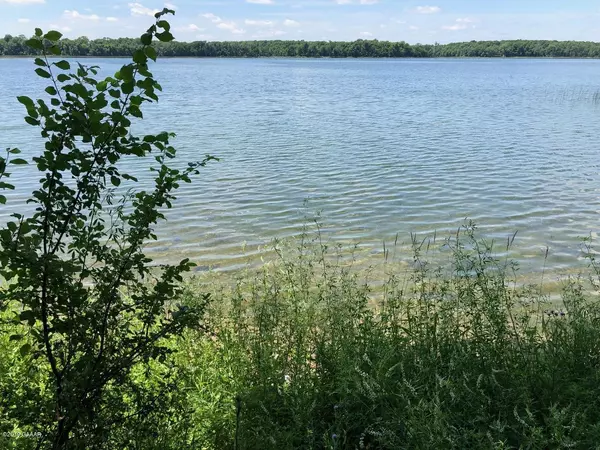 Kensington, MN 56343,XXX Loon Point Drive (Lot 4)