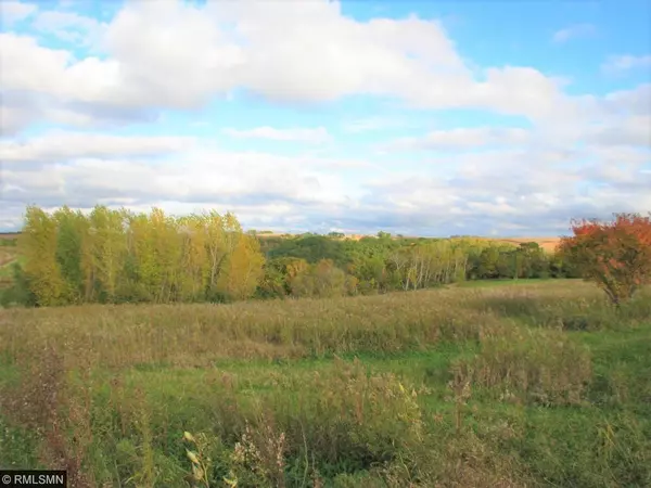 Lake City, MN 55041,LOT 2 BLK 2 275th