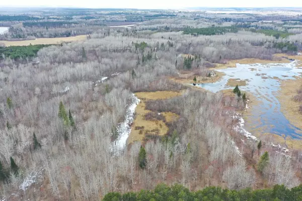 Squaw Lake, MN 56681,TBD County Rd 156/ E Dixon Lake Rd