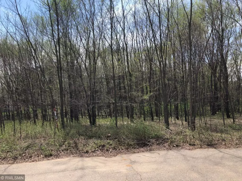 Pepin, WI 54759,Lot 30 Tanglewood Ct