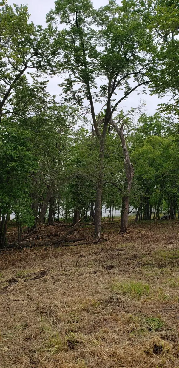 Ashby, MN 56309,Lot 1 Bluegill Bay Estates