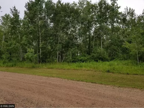 Trommald, MN 56441,XXX Lot 1 Mahnomen RD