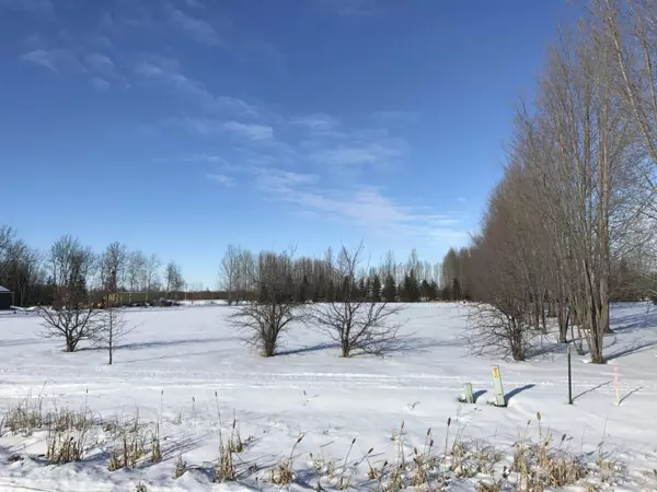 Warroad, MN 56763,TBD County Road 13 RD