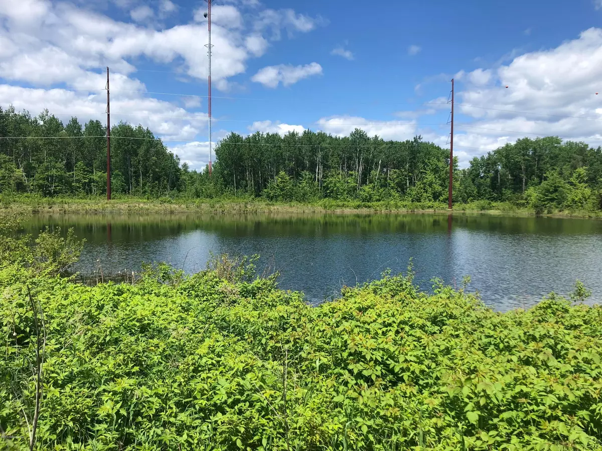 Bena, MN,TBD Road RD