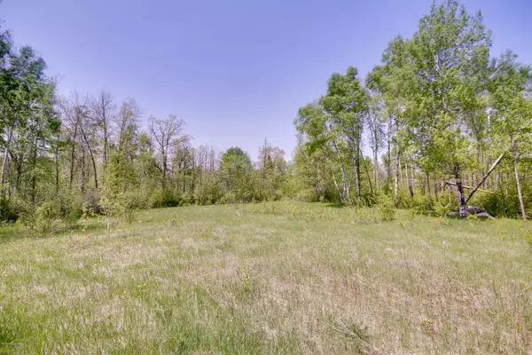 Track M Rea DR, Laporte, MN 56461