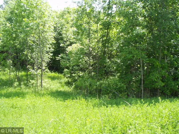 Lot 11 Blk 1 W Stalker RD, Tordenskjold Twp, MN 56324