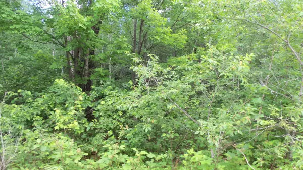 Meenon Twp, WI 54893,LOT 4 HWY 35