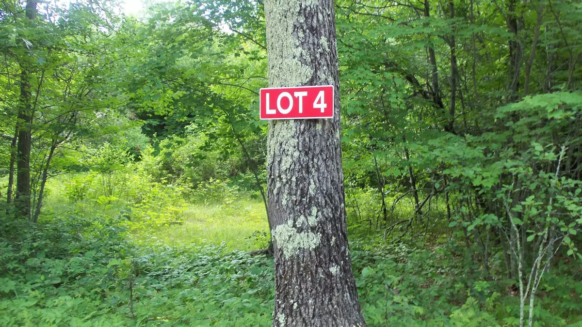 Meenon Twp, WI 54893,LOT 4 HWY 35