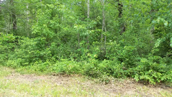 Meenon Twp, WI 54893,LOT 6 HWY35