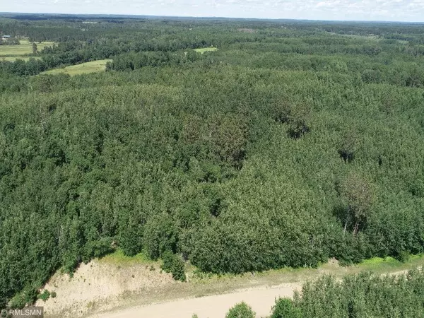 Park Rapids, MN 56470,Lot 11 Fenwick CIR