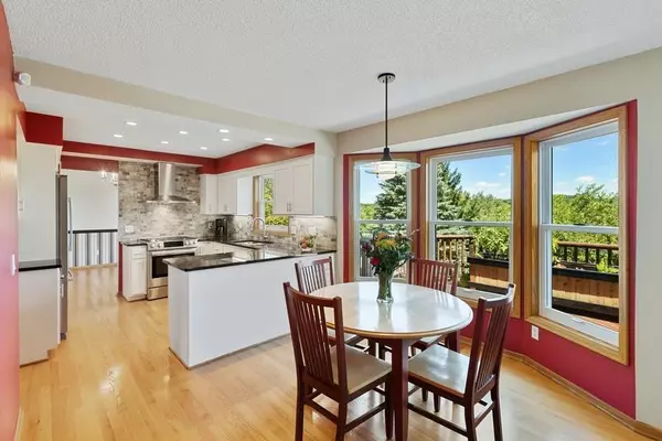 Eden Prairie, MN 55346,6568 Mistral LN