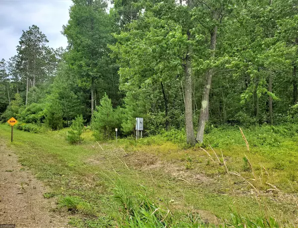 Deerwood, MN 56444,Lot 2 Blk 1 Retirement LN