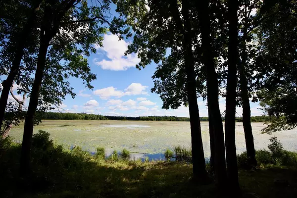 Backus, MN 56435,1516 W Goose Lake TRL NW