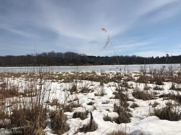 Farm Island Twp, MN 56431,TBD Cedar Lake DR