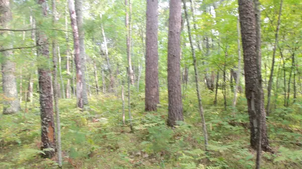 Webster, WI 54893,LOT 1 FIREFLY LN