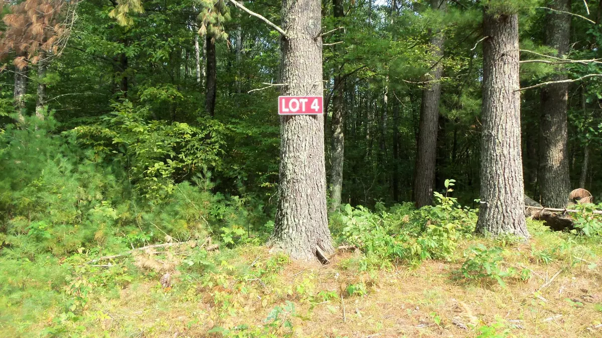 Webster, WI 54893,LOT 4 FIREFLY LN