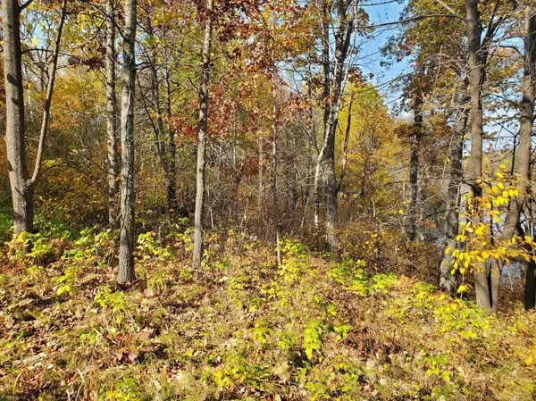 Ironton, MN 56455,XXX Lot 4 Spruce RD