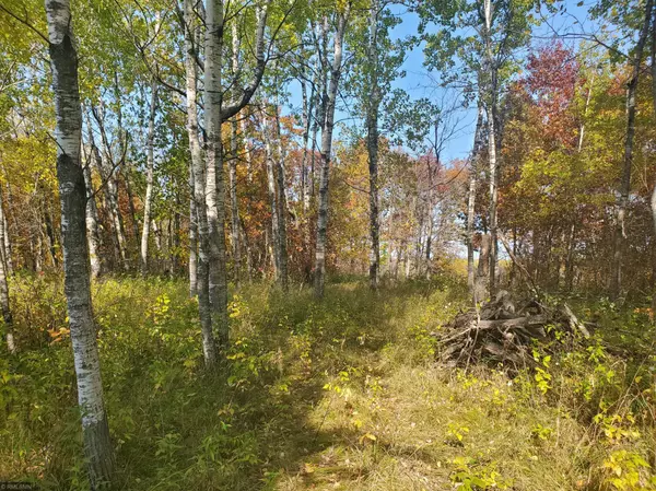 Ironton, MN 56455,XXX Lot 4 Spruce RD