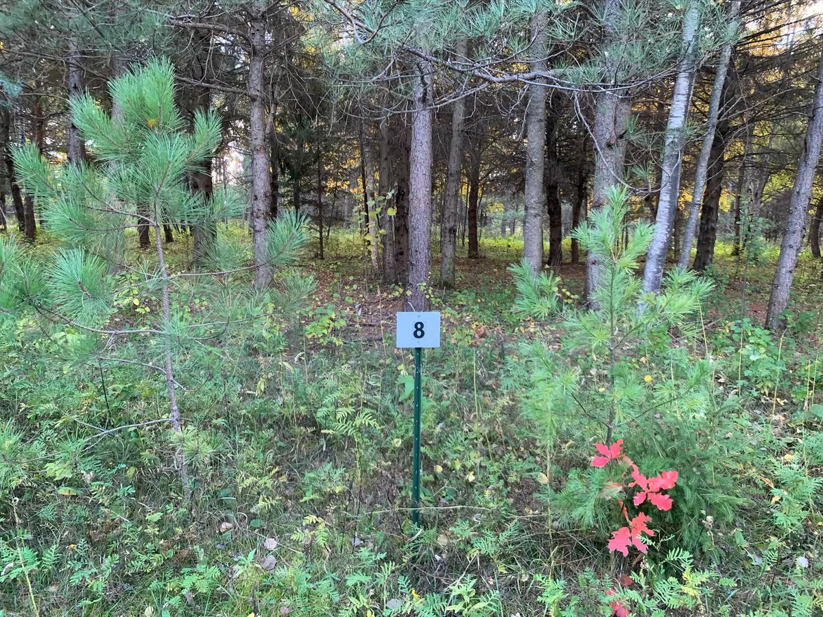 Aitkin, MN 56431,LOT8 BLK2 Owl AVE