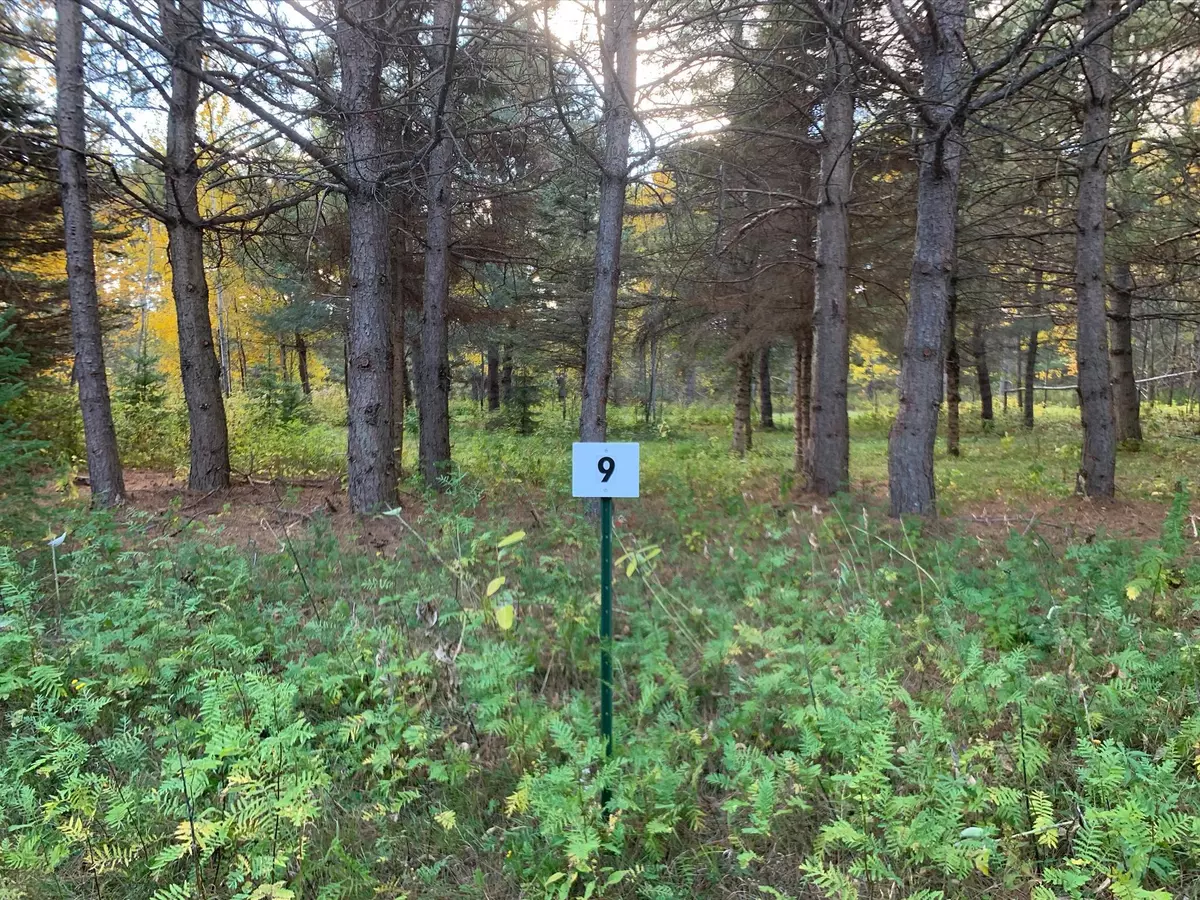 Aitkin, MN 56431,LOT9 BLK2 Owl AVE