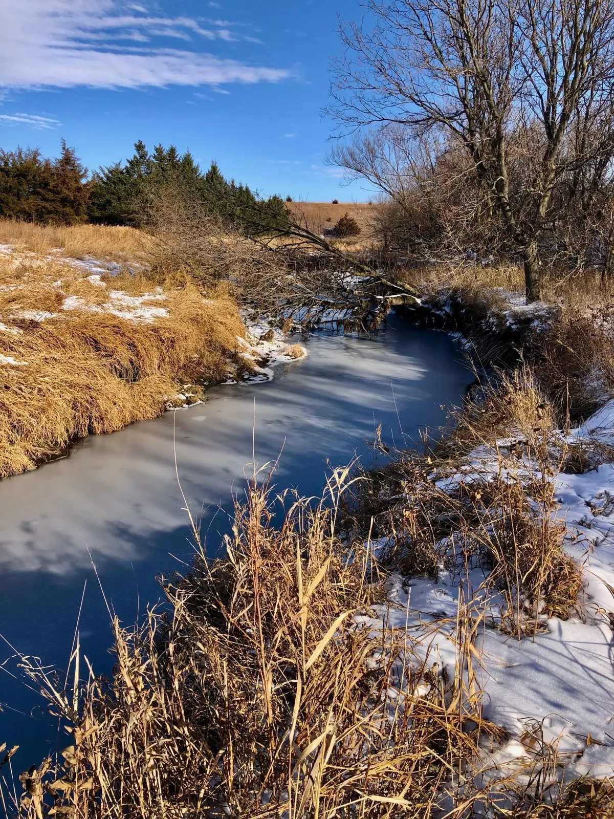 Mountain Lake, MN 56159,TBD County Road 47