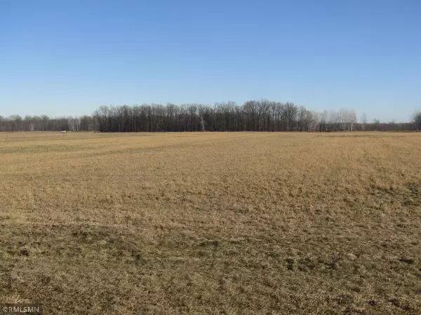 34 Acres Auburn RD, Grasston, MN 55030