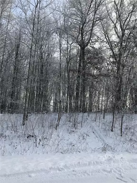 Stanley Twp, WI 54822,Lot 18 20 3/8