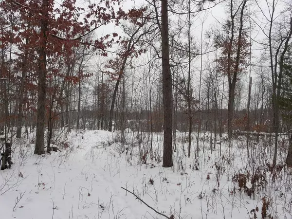 Danbury, WI 54830,Lot 43 Deer Path Trailway