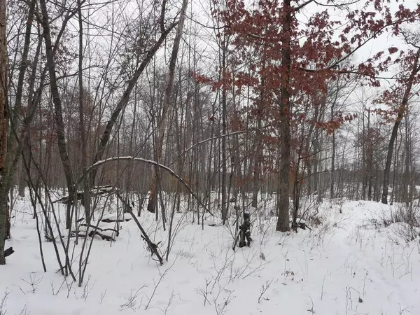 Danbury, WI 54830,Lot 43 Deer Path Trailway