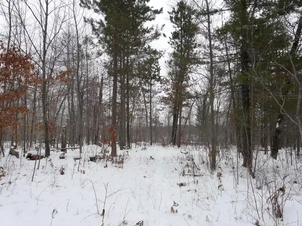 Danbury, WI 54830,Lot 43 Deer Path Trailway