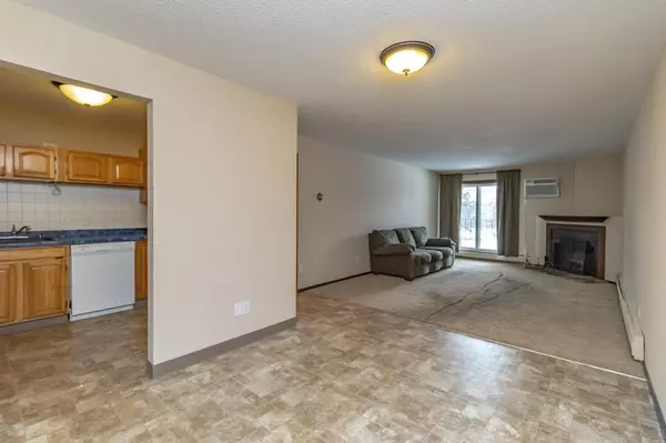 Eagan, MN 55123,3420 Golfview DR #212