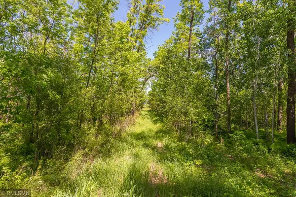 Brainerd, MN 56401,LOT 1 MCGOWAN ROAD