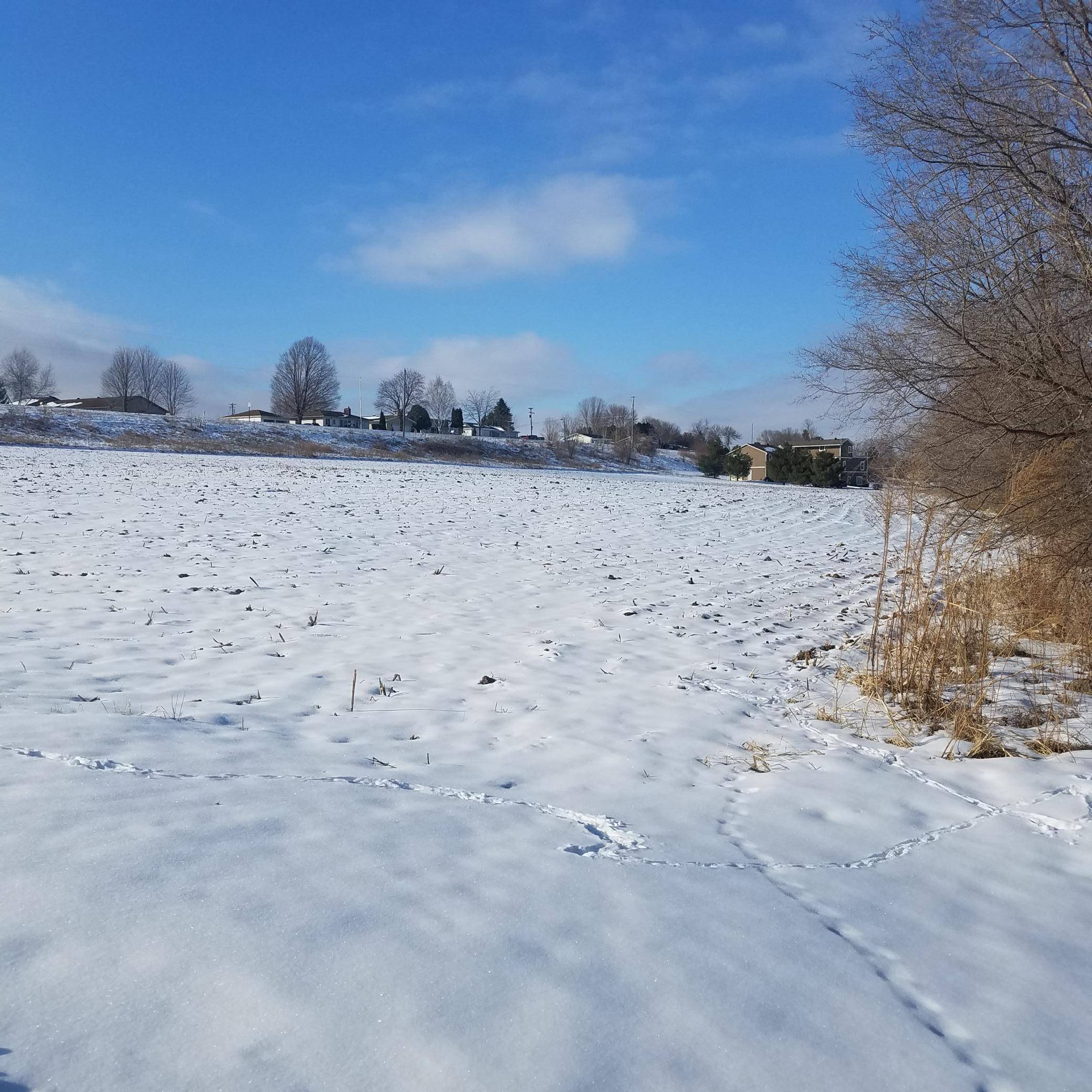 Lot 2, Blk 1 Possum WAY, Lake City, MN 55041