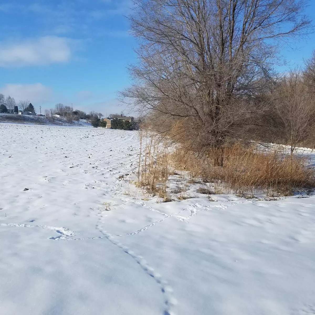 Lake City, MN 55041,Lot 3, Blk 1 Possum WAY