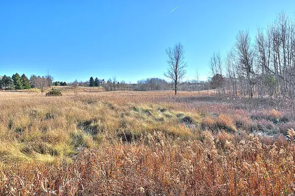 Grant, MN 55082,xxx (Lot 10) Isleton AVE N