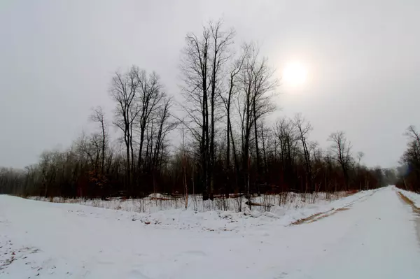 Pequot Lakes, MN 56472,Lot 1 - 4 Mystic Circle